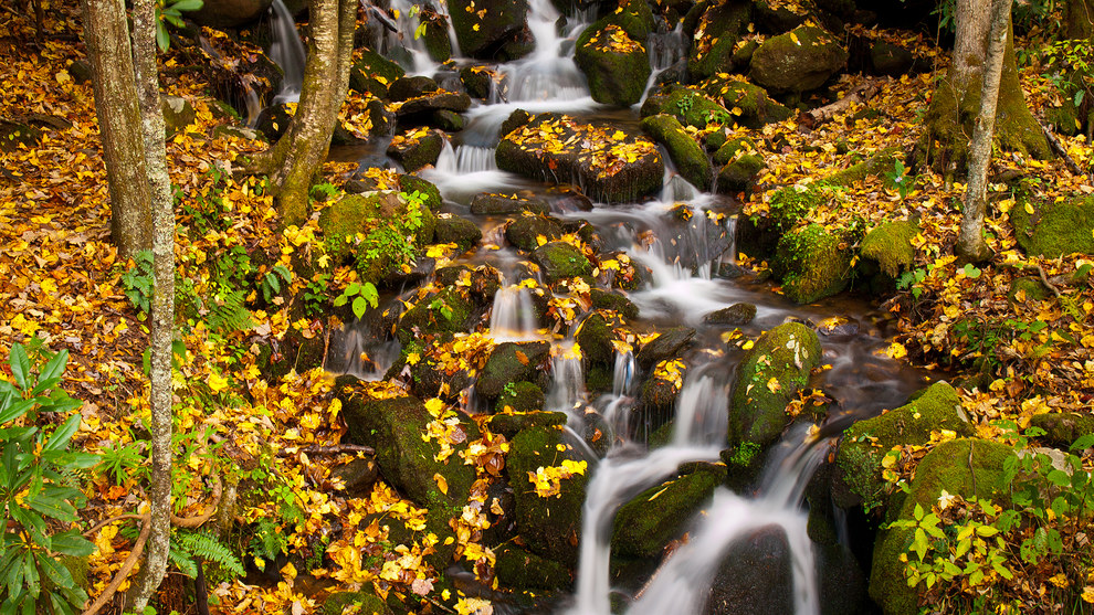 Arkansas Wallpapers - Brian Cormack - Smoky Stream Arkansas Wallpapers - Brian Cormack - Smoky Stream