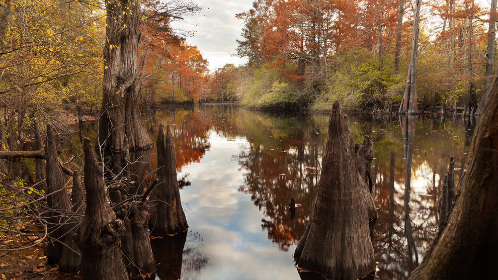 Arkansas Wallpapers - Apple Lake at Dagmar Arkansas Wallpapers - Apple Lake at Dagmar