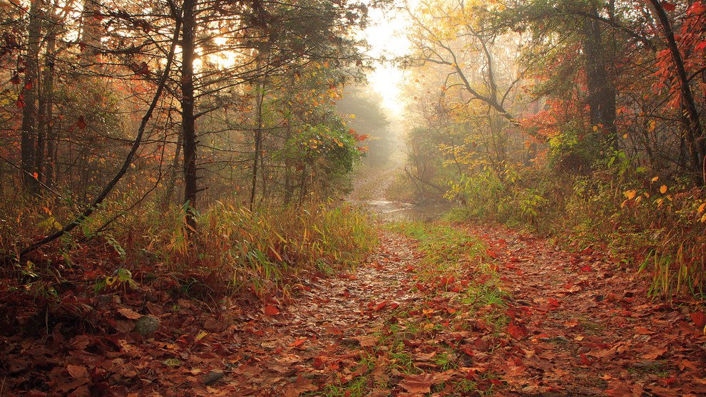 Arkansas Wallpapers - Fall Along the Buffalo River Trail Arkansas Wallpapers - Fall Along the Buffalo River Trail