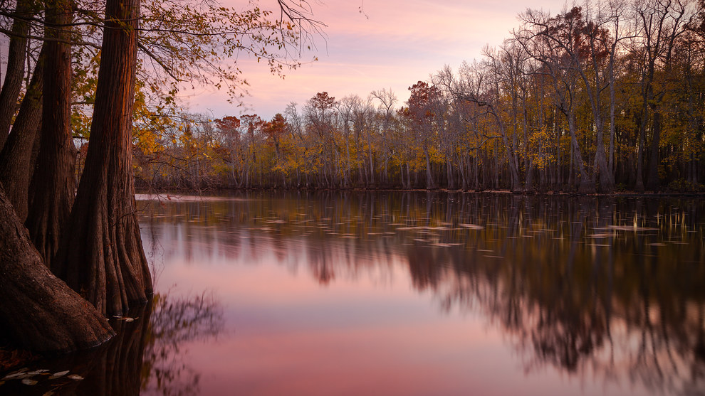 Arkansas Wallpapers - Hickson Lake Dagmar WMA Arkansas Wallpapers - Hickson Lake Dagmar WMA