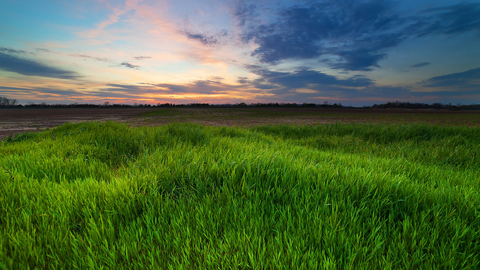 Arkansas Wallpapers - Lollie Bottoms Sunset Arkansas Wallpapers - Lollie Bottoms Sunset