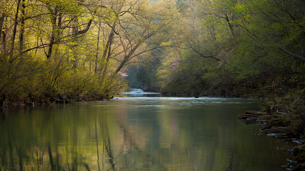 Arkansas Wallpapers - Spring on the Middle Fork Illinois Bayou Arkansas Wallpapers - Spring on the Middle Fork Illinois Bayou
